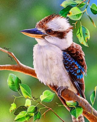 Kookaburra Blue Winged Bird Paint By Numbers