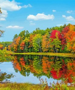 New England Autumn Scene Paint By Numbers