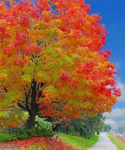 Autumn Forest Landscapes Paint By Numbers