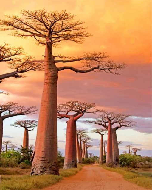 avenue-of-the-baobabs-paint-by-number