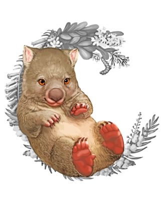 Baby Wombat Animals Paint By Numbers