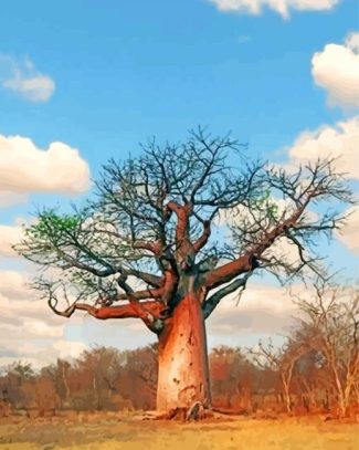 Madagascar Baobab Paint By Numbers