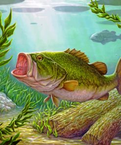 Bass Fish Underwater Paint By Numbers