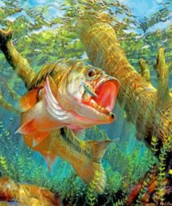 Bass Fish Aquarium Paint By Numbers