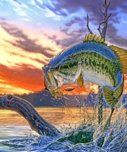 Bass Fish Paint By Numbers