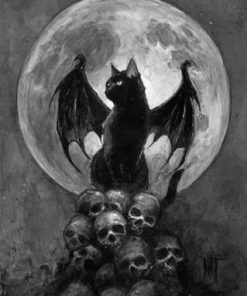 Moonlit Bat Cat Skulls Paint By Numbers