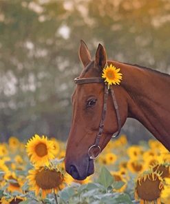 Brown Stallions Among Sunflowers Paint By Numbers
