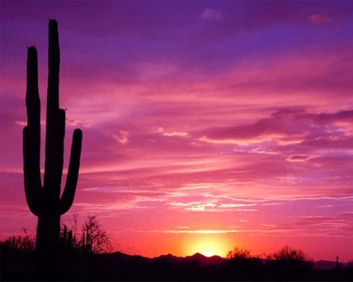 beautiful-cactus-sunset-adult-paint-by-numbers