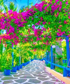Pink Flower Garden Paint By Numbers
