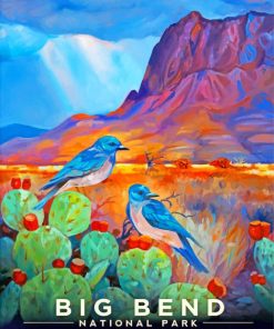 Big Bend Nature Paint By Numbers