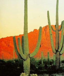 Big Cactus Mountain Landscape Paint By Numbers