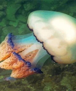 Big Jellyfish Sea Life Paint By Numbers