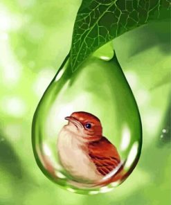 Bird And Bubble Wildlife Paint By Numbers