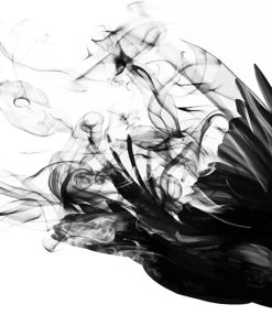 Colorful Bird Smoke Paint By Numbers