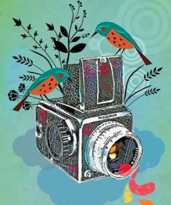Bird and Camera Aesthetic Paint By Numbers