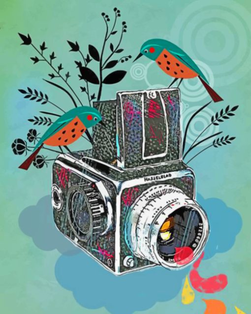 birds-and-camera-paint-by-number