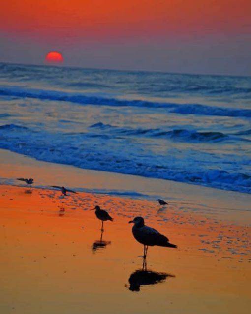 birds-in-sea-paint-by-numbers