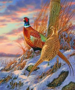 Ring Necked Pheasant Bird Paint By Numbers