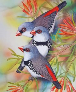 Old World Flycatchers Bird Paint By Numbers