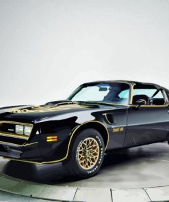 Black Firebird Trans AM Paint By Numbers