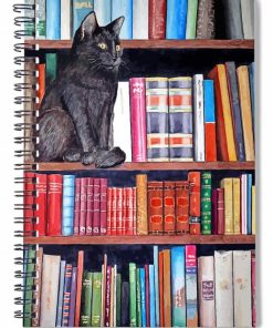 Black Cat Bookshelf Scene Paint By Numbers