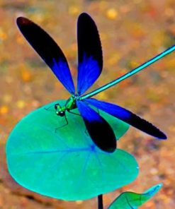 Blue Dragonfly Painting Paint By Numbers