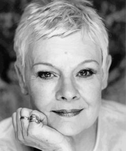Black and White Dame Judi Dench Paint By Numbers