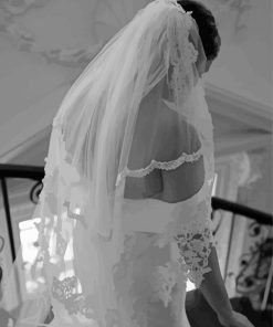 Black and White Bride Paint By Numbers