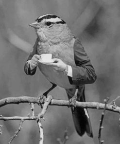 Black and White Bird Art Paint By Numbers