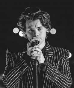 Iconic Harry Styles Vintage Paint By Numbers