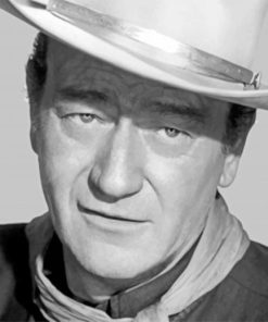 John Wayne Cowboy Paint By Numbers