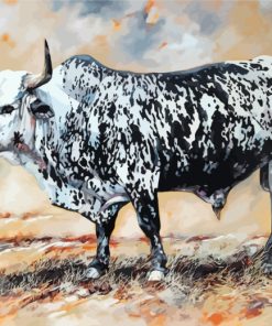 Nguni Cattle Black and White Paint By Numbers