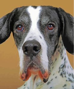 Black and White Dog Paint By Numbers