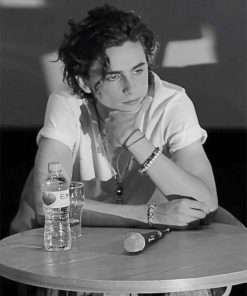 Timothee Chalamet Black and White Paint By Numbers