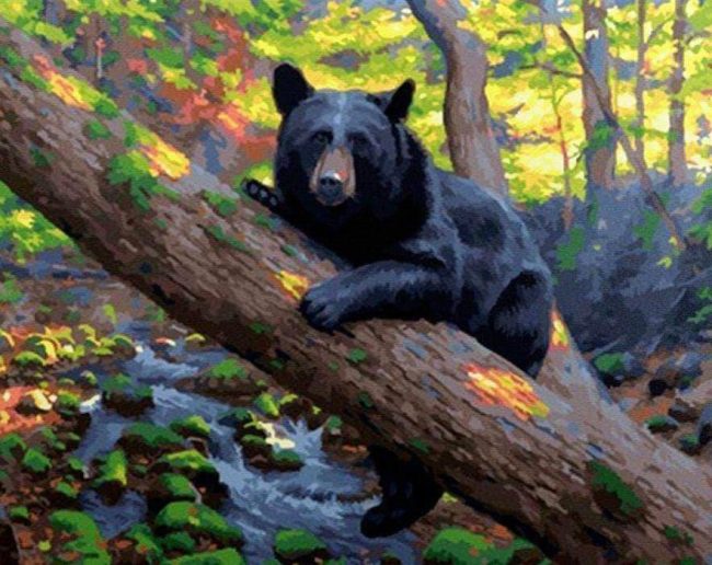 Modern Black Bear Paint By Numbers