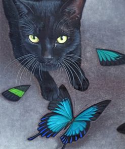 Black Cat and Butterfly Art Paint By Numbers