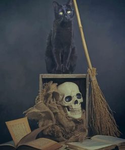Vintage Black Cat Skull Paint By Numbers