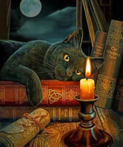 Black Cat and Candle Magic Paint By Numbers