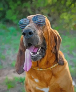 Bloodhound Dog with Glasses Paint By Numbers