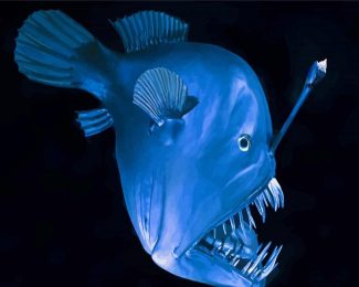 Blue Angelfish Ocean Paint By Numbers