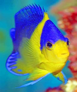 Blue Gold Fish Sea Inhabitants Paint By Numbers