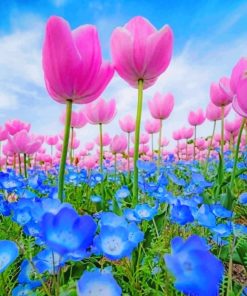 Blue and Pink Floral Paint By Numbers