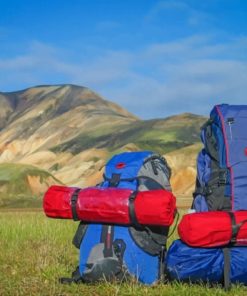 Travel Backpack Adventure Paint By Numbers