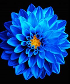 Blue Dahlia Flower Paint By Numbers