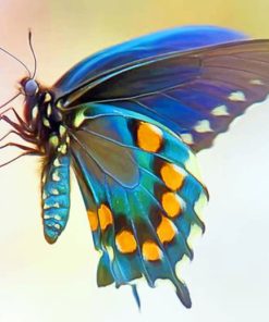 Blue Green Swallowtail Paint By Numbers