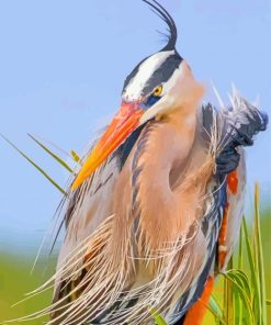 Blue Heron Wonders Paint By Numbers