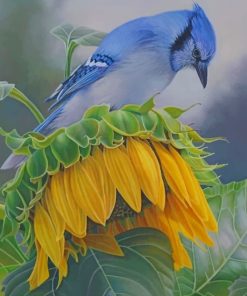 Blue Jay and Sunflower Paint By Numbers
