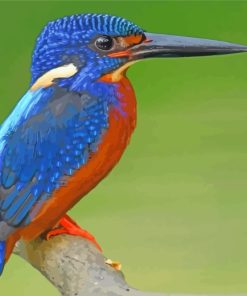 Blue Kingfisher Paint By Numbers