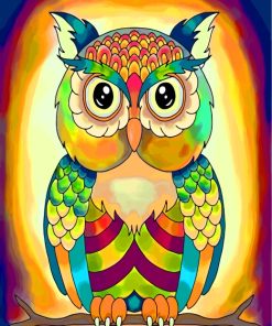 Rainbow Owl Paint By Numbers