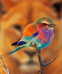Breasted Roller and Lioness Paint By Numbers